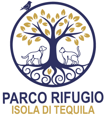 logo 5400px png